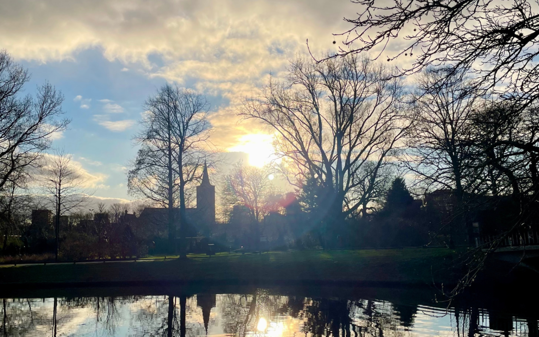 Sun setting, houses and trees reflected in the water