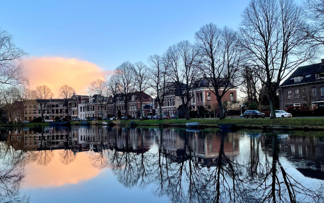 Trees, a cloud, and houses reflected in water on a quiet, sunny winter day