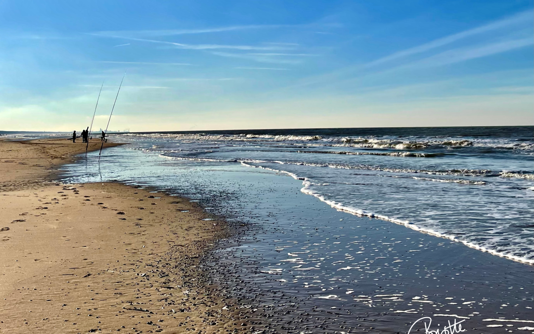 Waves gently rolling on the beach on a sunny winter day.