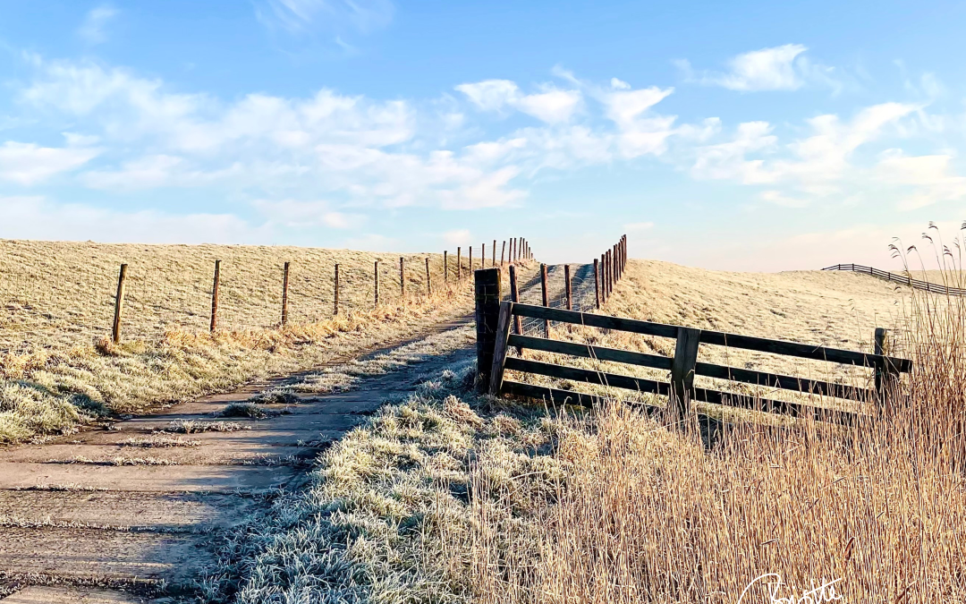 Icy winter day in the country with a gate and fields.