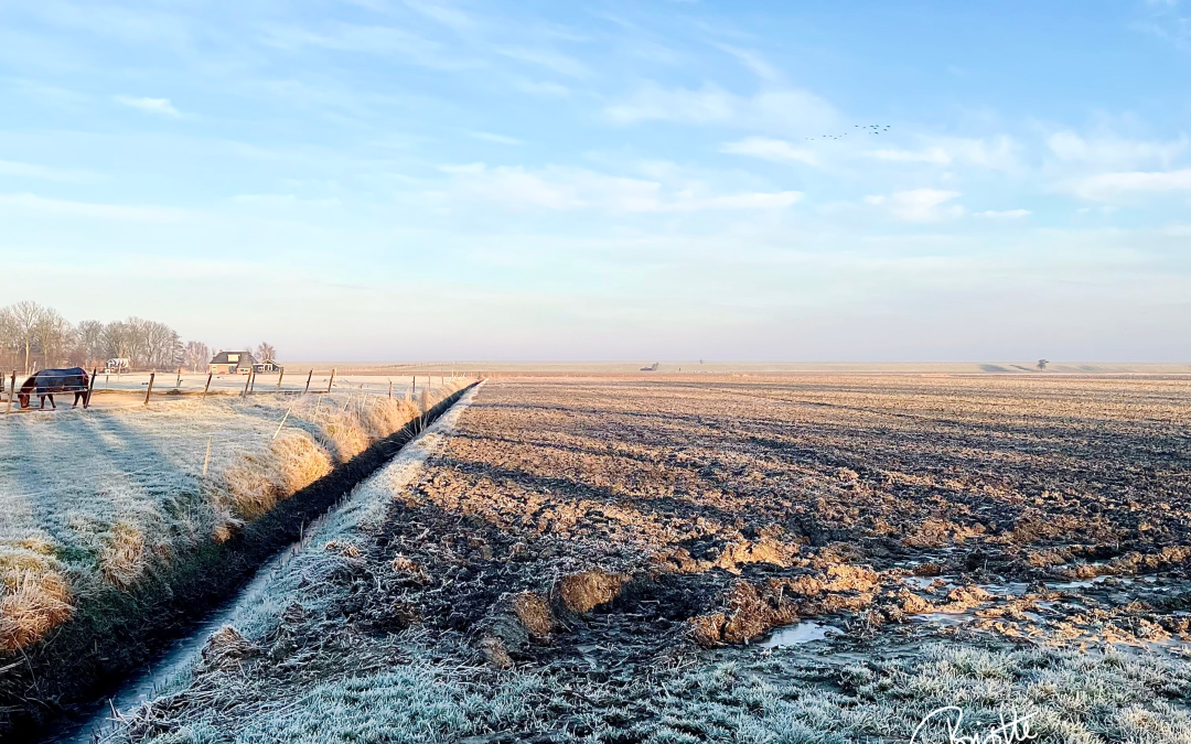 Winter day in the country side.