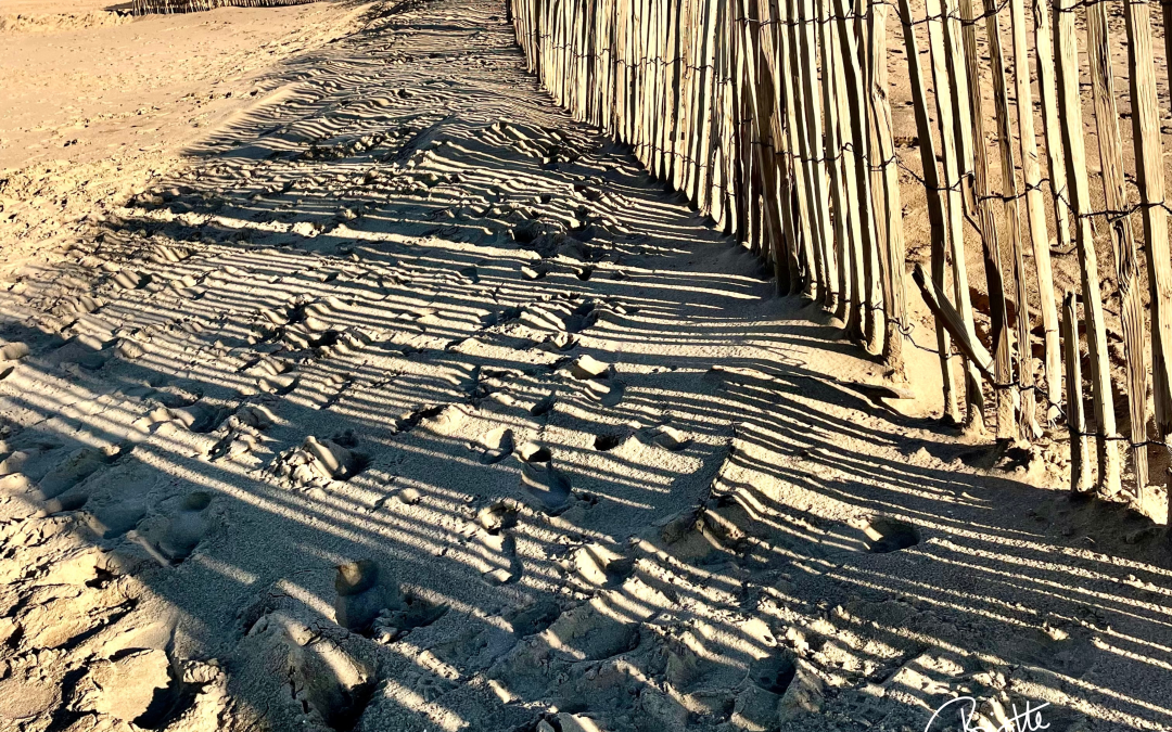 A wooden gate's shadow in the sand.