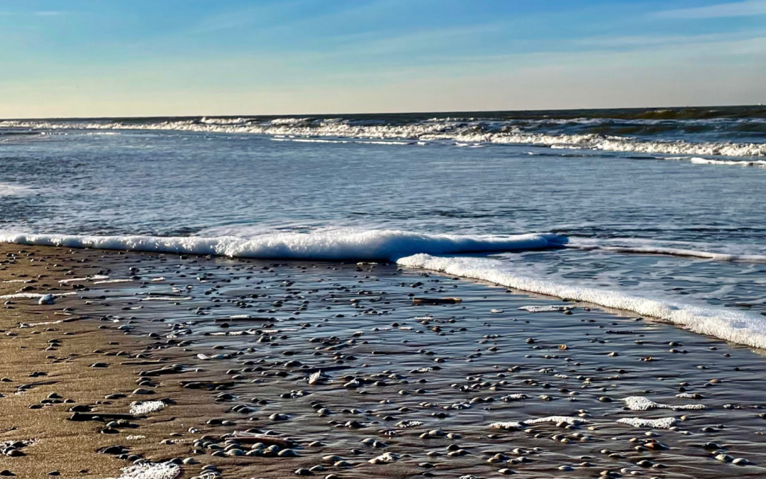 Wave gently rolling onto the beach